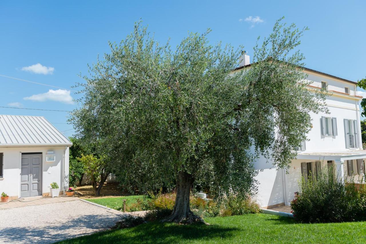 B&B Casale Savini Ortona Dış mekan fotoğraf